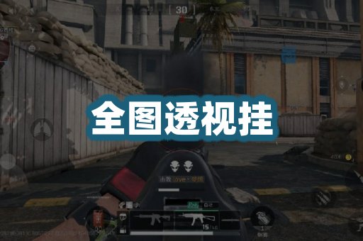 全图透视挂